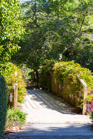 Quaint Wooden Bridge with Flowering Vines in Lush Gardenの写真素材