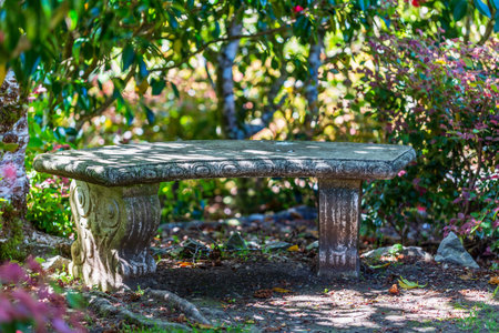 Ornate Stone Bench in Shaded Garden Cornerの写真素材