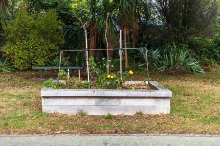 A simple yet vibrant community garden planter blooming with flowers and greenery in Carrara Park, Wellingtonの写真素材