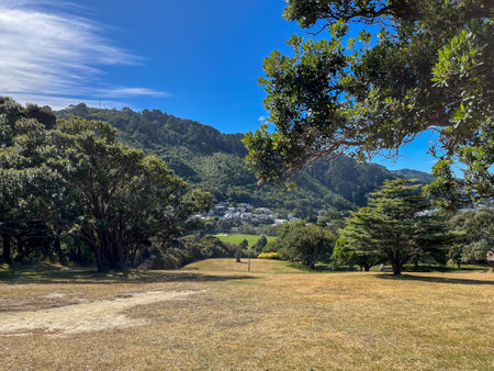 A serene view of the hills and lush greenery on a sunny day at Wellington Botanic Gardenの写真素材