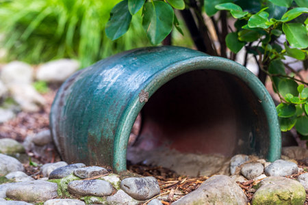 Animal Shelter Tube in Natural Zoo Habitatの写真素材