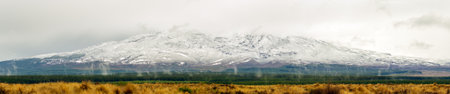 A mesmerizing summer view of Mount Ruapehu in New Zealand, with snow-capped peaks, golden grasslands, and mist rising as water condenses in the crisp alpine airの写真素材