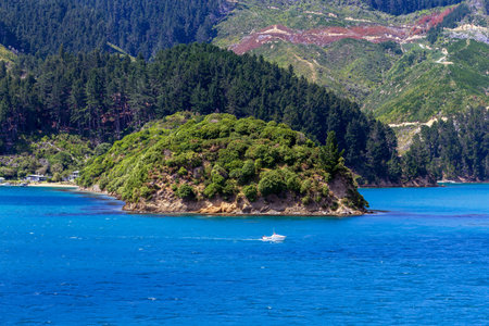 A serene coastal scene featuring vibrant blue waters and lush greenery in Marlborough Sounds, New Zealandの写真素材