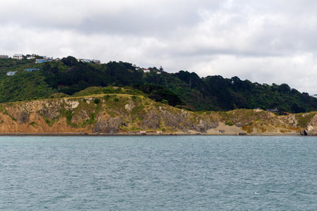 Coastal rocks with lush green hills and homes in the background, taken in Wellington, New Zealandの写真素材