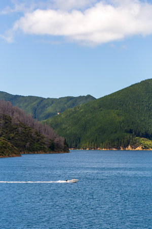A contrast of vibrant greenery and small boats in the distance along the Marlborough Sounds, with a calm blue bayの写真素材