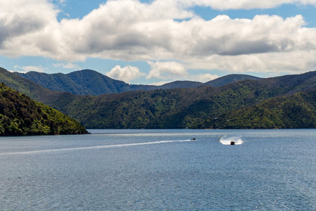 A peaceful view of boats gliding through the calm waters surrounded by lush mountains in Marlborough Sounds, New Zealandの写真素材
