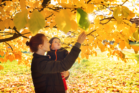 Family in the autumn park. Mom playing with son child in the autumn nature. Mom and her little baby child happy together.の写真素材