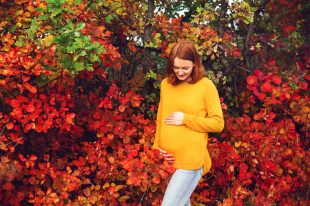 Beautiful pregnant woman in autumn. Photo of healthy pregnancy. Expectant mother walks in autumn park. Waiting for the baby.の写真素材