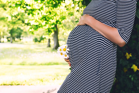 Pregnant woman with chamomiles flowers holds hands on belly on nature background. Pregnancy, prenatal care, new life, expectation concept. Close-up, copy space, outdoor. Tender mood photo of pregnancyの写真素材