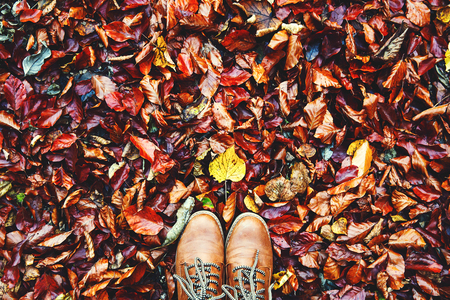 Fall, autumn, leaves and brown shoes. Conceptual image of legs in brown boots on the autumn leaves.の写真素材