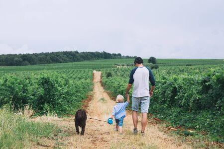 Father and son walking on nature, outdoors. Family background. Dad and his kid walking on the trail among the fields and vineyards.の写真素材
