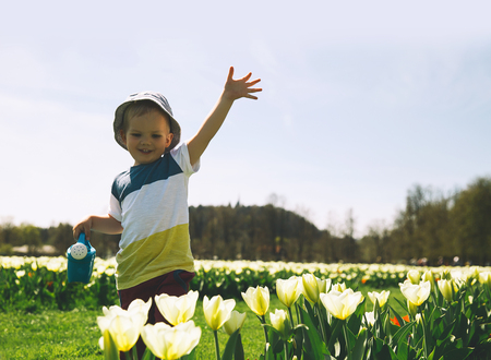 Little boy in beautiful garden with watering can among yellow tulips flowers. Child playing outdoors in spring park. Tulip field in Arboretum, Slovenia. Family on natureの写真素材