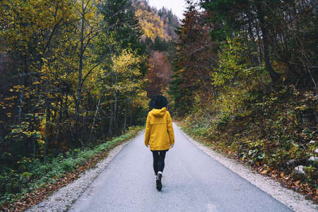 Woman in yellow raincoat walking on road in autumn forest. Young hiker girl in nature outdoors on rainy and foggy day. Travel freedom lifestyleの写真素材