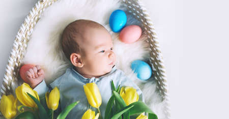 Cute baby Easter bunny. Little baby boy with bunny ears and Easter eggs in wicker basket in white...