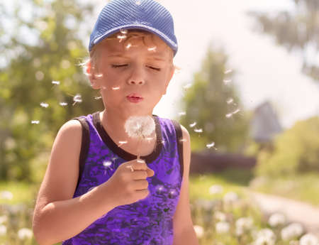a boy with blond hair in a cap and a blue T-shirt holds a dandelion in his hand, blows on it, closing his eyes, against the background of blurry green trees.の写真素材