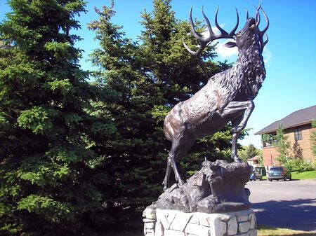 The monument of the deer in Jackson, Woyomingの写真素材