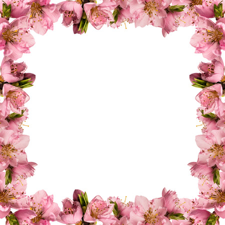 Beautiful frame with peach flowersの写真素材