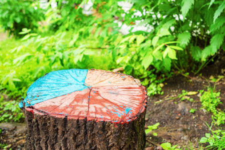 Colored stump on a background of ground and green foliage. Copy space. Creative concept.