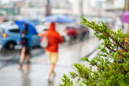 Blurred cityscape in rainy weather. People with umbrellas walk down the street on a rainy day. Cityscape in bad weather. Blurred background with bokeh.の写真素材