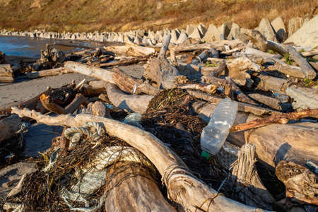 Plastic bottles and wastes trash pollute the beach. Old trees and rubbish washed ashore after the storm. Global problem of environmental pollution. Careless and irresponsible attitude to nature.の写真素材