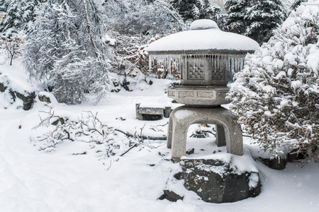 Japanese rock garden after a winter ice storm. Trees covered with snow and ice. Cold frosty snowy...