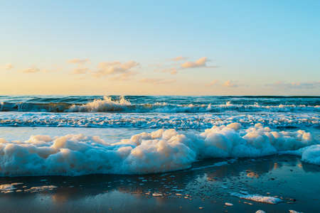 Beautiful sea, sandy beach, seafoam and clear blue sky on sunset. Wild beach of the Sea of Okhotsk, Sakhalin island, Russia. Natural landscape background with copy space.の写真素材