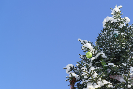 Bright green shiny Christmas ball and other Christmas decorations on the branch growing in the Park snowy fir ( lat. Abies) against the skyの写真素材