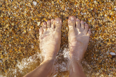 Feet in the crystal clear sea water. The bottom with the shell. The view from the topの写真素材