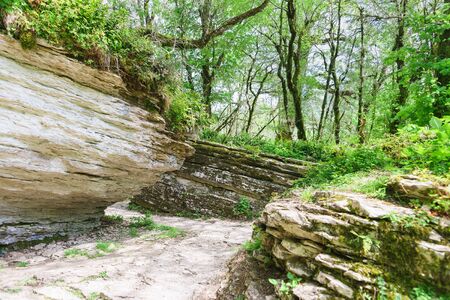 Turns of a stone labyrinth caused by a tectonic fault in a yew-Box grove in the Khostinsky district...