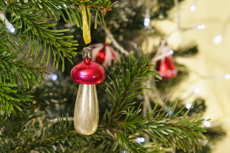 White mushroom with a bright red hat-new years Soviet glass Christmas tree toy on a branch of green firの写真素材