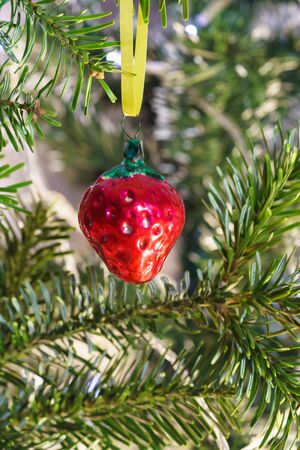 Red glass strawberry-new years Soviet Christmas tree toy on a branch of green firの写真素材