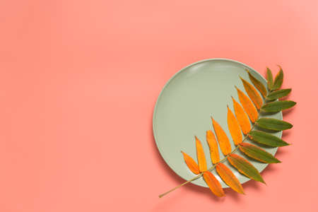 Abstract autumn colorful greeting card. Autumn leaf in a round plate on a pink backgroundの写真素材