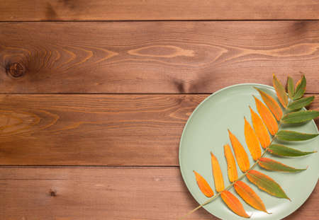 Abstract autumn still life: a beautiful yellowed leaf and a green plate on a brown wooden table. Flat lay. Copy spaceの写真素材