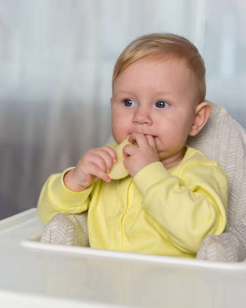 A little baby girl eats an Apple slice. Home furnishings, high chair