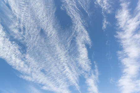 Cirrus clouds are individual thin, light white clouds with a fibrous and filamentous structure,...