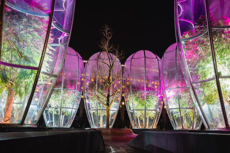 Russia, Krasnodar - 04 January 2023: Catalpa and exotic jacaranda under glass domes in the city park Galician winter nightのeditorial素材