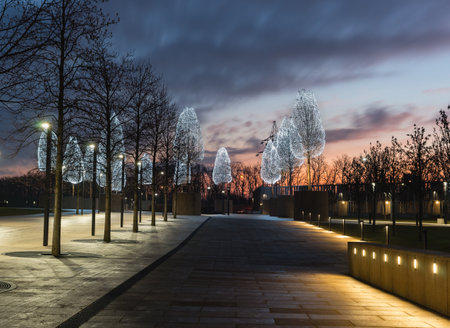 Russia, Krasnodar - 04 January 2023: An alley with garlands of trees in the Galician night park in Krasnodar. early morningのeditorial素材