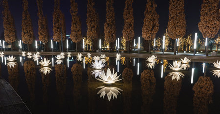 Russia, Krasnodar - 04 January 2023: Lamps-flowers white lotuses on the water in the park of Galicia. Pyramidal oaks in the backgroundのeditorial素材