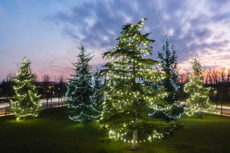 Russia, Krasnodar - January 04, 2023: Fir trees decorated with glowing garlands in Galitsky Parkのeditorial素材