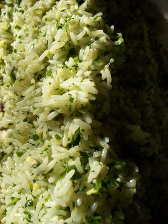 Green savage riceの写真素材