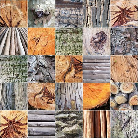 Wood textures mosaicの写真素材