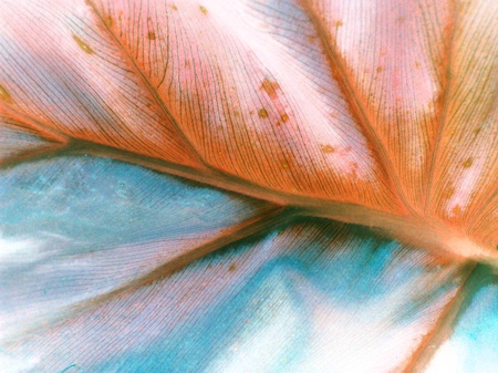 Stained background in white, orange and light blueの写真素材