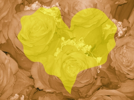 Yellow heart over sepia roses background for romantic valentinesの写真素材