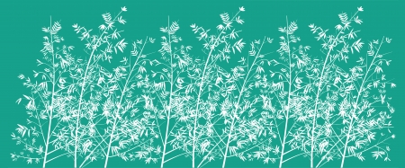 Emerald green bamboo forest backgroundの写真素材