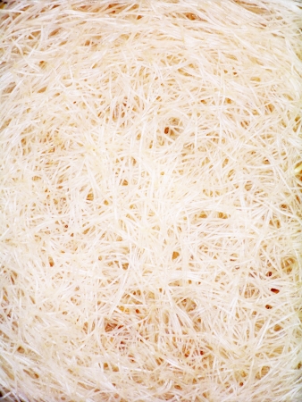 White roots of wheat seeds like japanese noodlesの写真素材