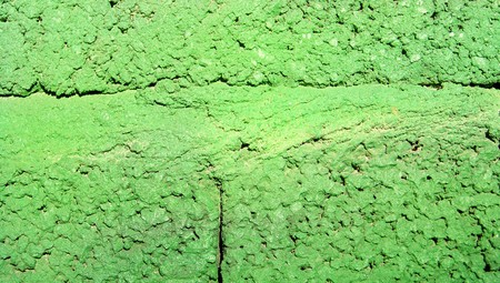Light green paint wall 