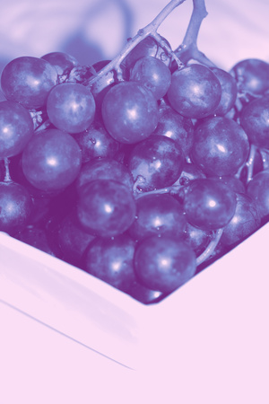 Blue grapes raceme close upの写真素材