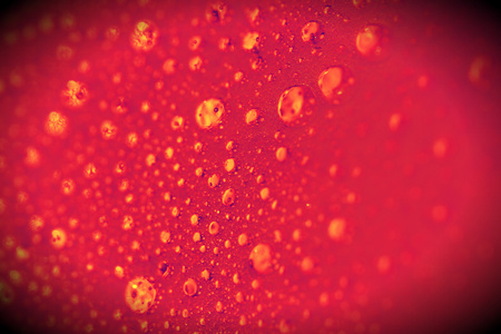 Red paint texture background with bubblesの写真素材