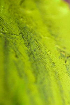Yellowish green paint brush abstract background closeupの写真素材