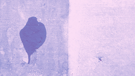Blue paint drop on minimal background rustic wall